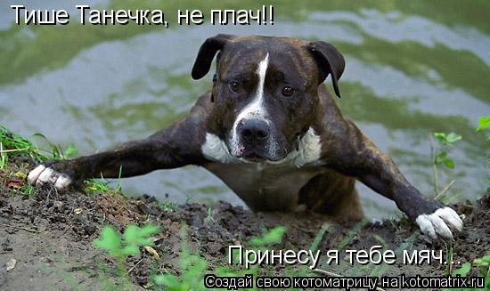 Тише Танечка, не плач!! Принесу я тебе мяч...... Котоматрица: Тише Танечка, не плач!! Принесу я тебе мяч...