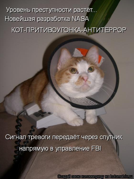 Уровень преступности растёт... Новейшая разработка NASA Сигнал тревоги передаёт через спутник напря... Котоматрица: Уровень преступности растёт... Новейшая разработка NASA Сигнал тревоги передаёт через спутник напрямую в управление FBI КОТ-ПРИТИВОУГОНКА-АН