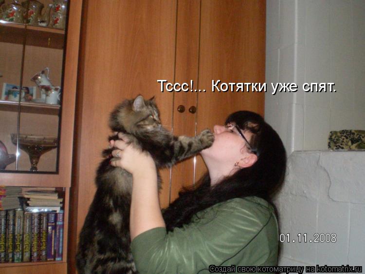 Котоматрица: Тссс!... Котятки уже спят.