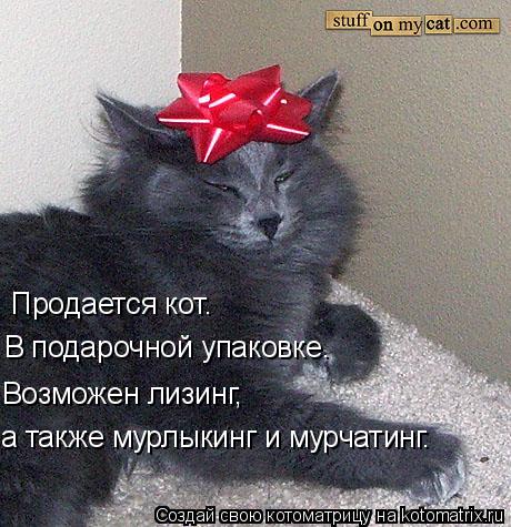 Котоматрица: Продается кот.  В подарочной упаковке. Возможен лизинг, а также мурлыкинг и мурчатинг.