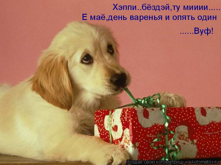 Котоматрица: Хэппи..бёздэй,ту мииии.....Е маё,день варенья и опять один....Вуф! Е маё,день варенья и опять один ......Вуф!