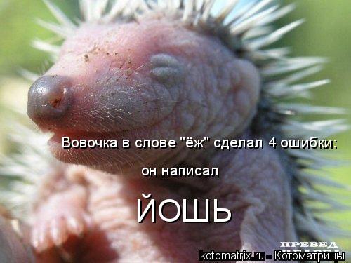 Котоматрица: Вовочка в слове "ёж" сделал 4 ошибки: ЙОШЬ он написал