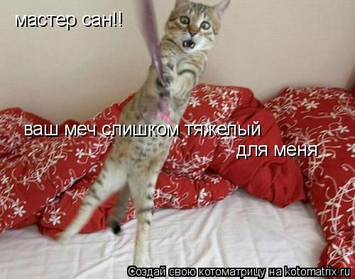 Котоматрица: мастер сан!! ваш меч слишком тяжелый для меня
