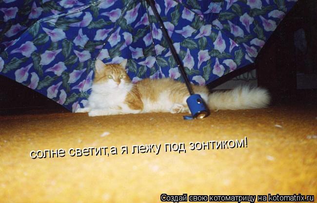 солне светит,а я лежу под зонтиком!... Котоматрица: солне светит,а я лежу под зонтиком!