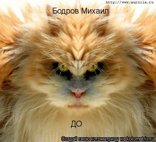 Котоматрица: Бодров Михаил ДО