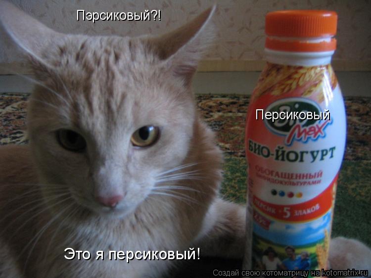 Котоматрица: Это я персиковый! Пэрсиковый?! Персиковый