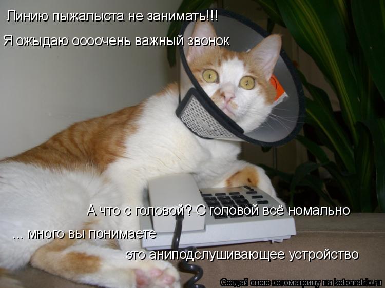Линию пыжалыста не занимать!!! Я ожыдаю оооочень важный звонок ... много вы понимаете А что с головой... Котоматрица: Линию пыжалыста не занимать!!! Я ожыдаю оооочень важный звонок ... много вы понимаете А что с головой? С головой всё номально это аниподслушив