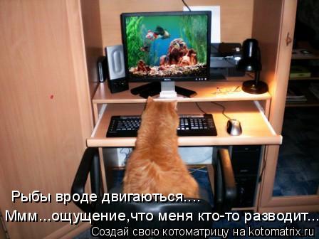 Котоматрица: Ммм...ощущение,что меня кто-то разводит.... Рыбы вроде двигаються....