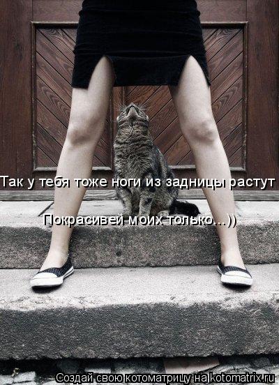 Котоматрица: Так у тебя тоже ноги из задницы растут Покрасивей моих только...))