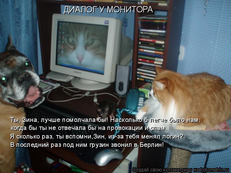 Котоматрица: ДИАЛОГ У МОНИТОРА Ты, Зина, лучше помолчала бы! Насколько б легче было нам,  когда бы ты не отвечала бы на провокации и спам. Я сколько раз, ты 