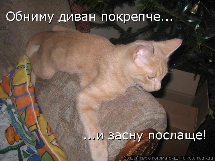 Котоматрица: Обниму диван покрепче... ...и засну послаще!
