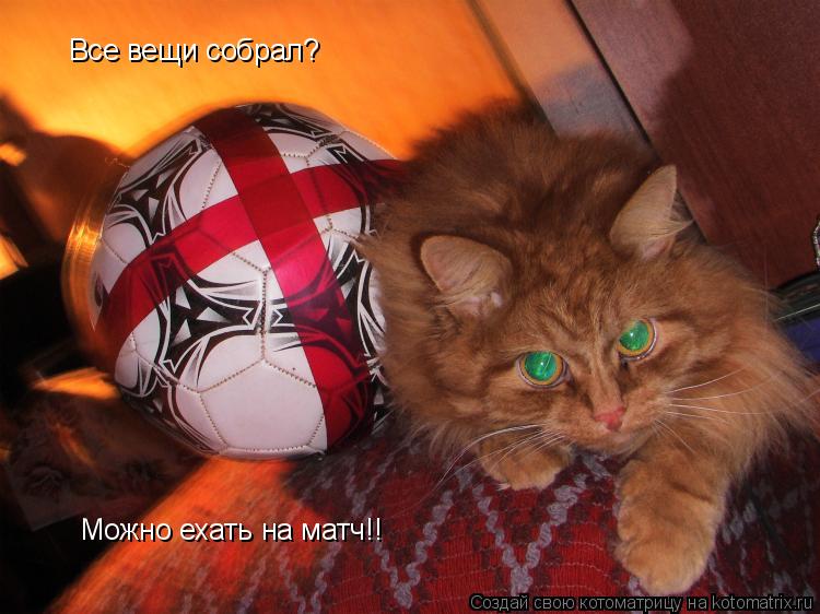 Котоматрица: Можно ехать на матч!! Все вещи собрал?