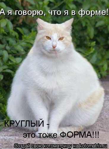 Котоматрица: А я говорю, что я в форме! КРУГЛЫЙ -  это тоже ФОРМА!!!