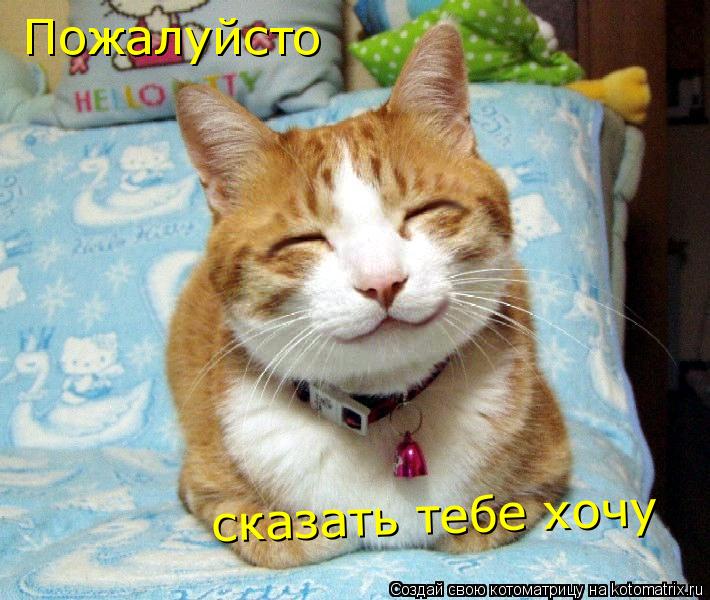 Котоматрица: Пожалуйсто сказать тебе хочу