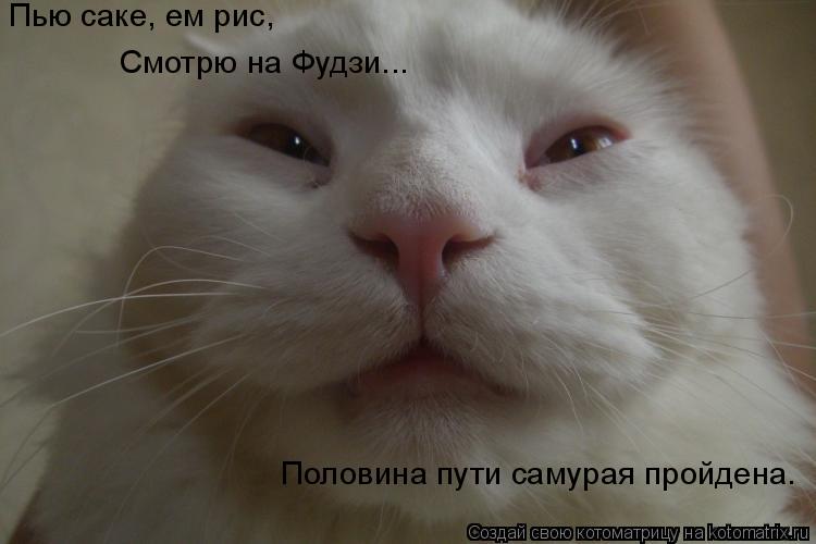 Котоматрица: Пью саке, ем рис, Смотрю на Фудзи... Половина пути самурая пройдена.