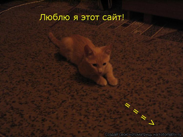 Котоматрица: Люблю я этот сайт! = = = >