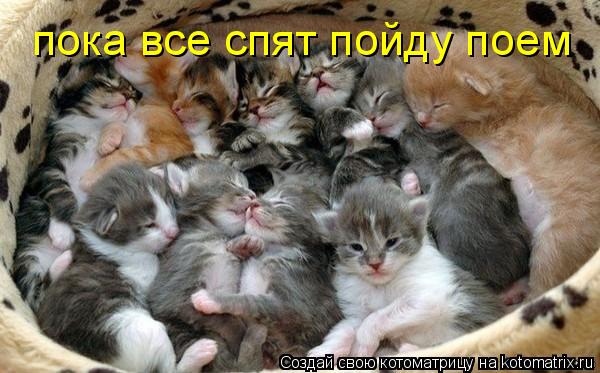 Котоматрица: пока все спят пойду поем