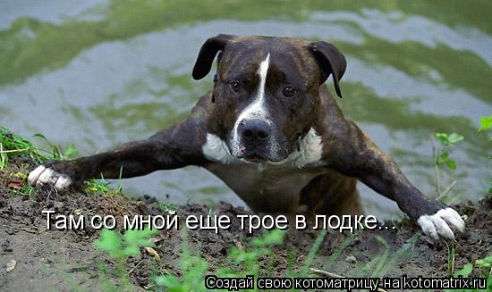 Там со мной еще трое в лодке...... Котоматрица: Там со мной еще трое в лодке...