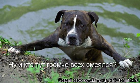 Ну и кто тут громче всех смеялся?... Котоматрица: Ну и кто тут громче всех смеялся?