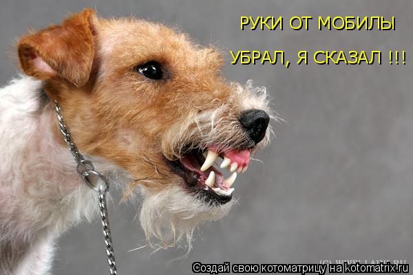http://kotomatrix.ru/images/lolz/2008/11/07/0P.jpg
