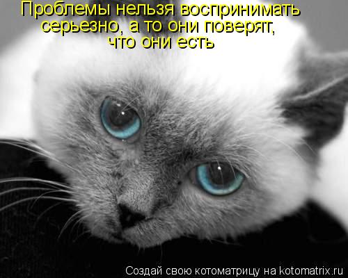 Проблемы нельзя воспринимать серьезно, а то они поверят, что они есть... Котоматрица: Проблемы нельзя воспринимать серьезно, а то они поверят, что они есть