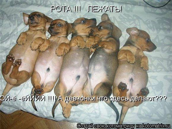 РОТА !!! ЛЕЖАТЬ! ОЙ-ё -ёЙЙЙЙ !!!! А девчонки что здесь делают???... Котоматрица: РОТА !!! ЛЕЖАТЬ! ОЙ-ё -ёЙЙЙЙ !!!! А девчонки что здесь делают???