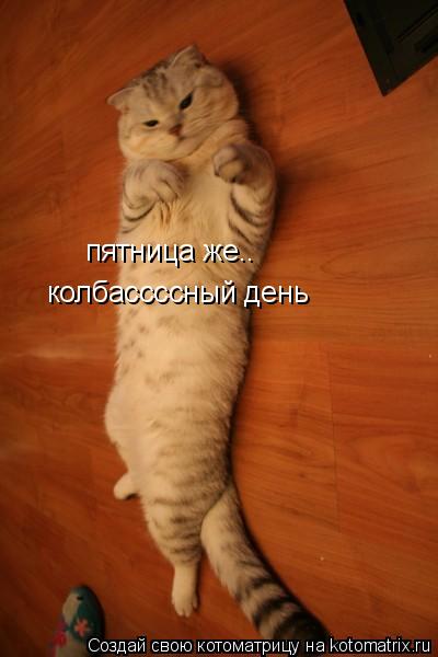 колбассссный день пятница же..... Котоматрица: колбассссный день пятница же..