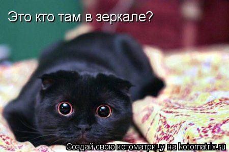 Это кто там в зеркале?... Котоматрица: Это кто там в зеркале?