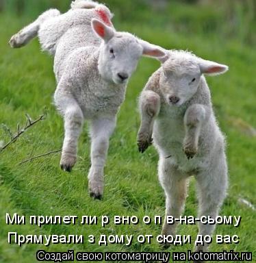 Котоматрица: Ми прилетіли рівно о пів-на-сьому   Прямували з дому от сюди до вас