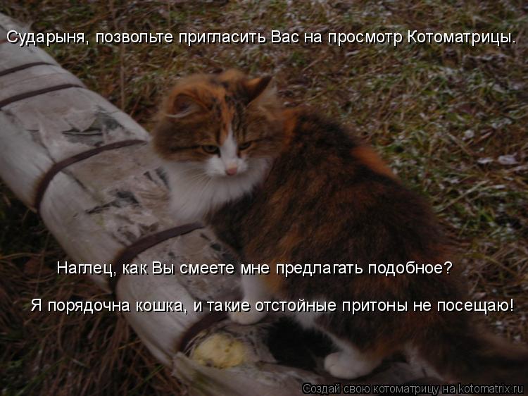 Сударыня, позвольте пригласить Вас на просмотр Котоматрицы. Наглец, как Вы смеете мне предлагать под... Котоматрица: Сударыня, позвольте пригласить Вас на просмотр Котоматрицы. Наглец, как Вы смеете мне предлагать подобное? Я порядочна кошка, и такие отсто
