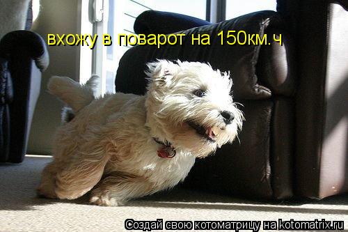 Котоматрица: вхожу в поварот на 150км.ч