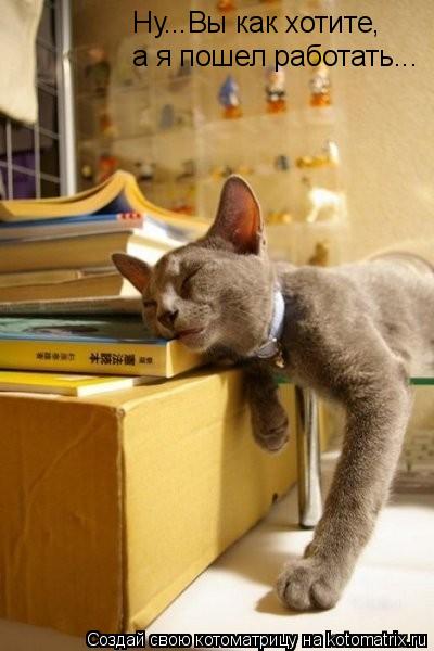 Ну...Вы как хотите, а я пошел работать...... Котоматрица: Ну...Вы как хотите, а я пошел работать...