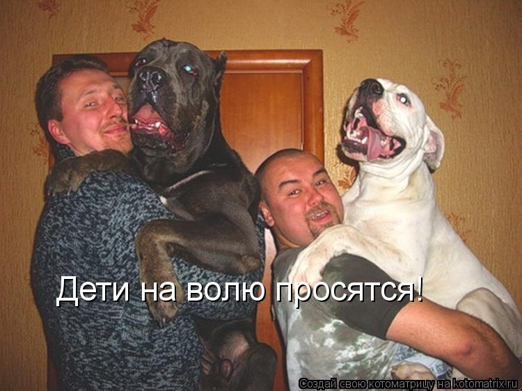 Дети на волю просятся!... Котоматрица: Дети на волю просятся!