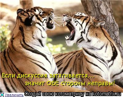 Если дискуссия затягивается... значит ОБЕ стороны неправы!... Котоматрица: Если дискуссия затягивается... значит ОБЕ стороны неправы!
