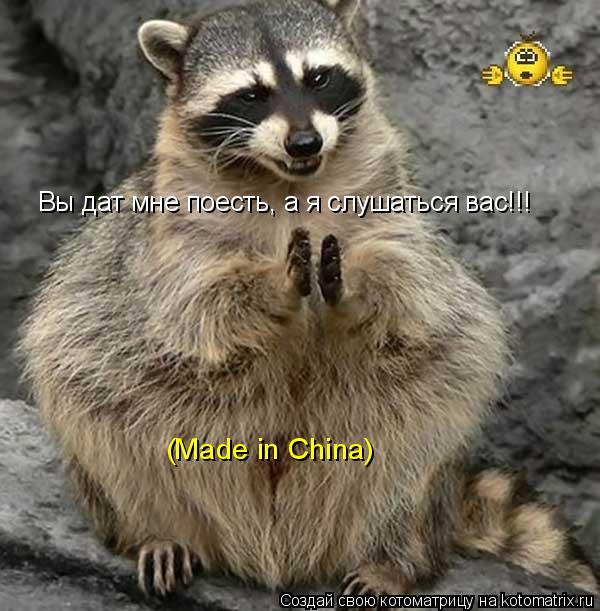 Вы дат мне поесть, а я слушаться вас!!! (Made in China)... Котоматрица: Вы дат мне поесть, а я слушаться вас!!! (Made in China)