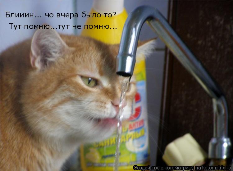 Блииин... чо вчера было то? Тут помню...тут не помню...... Котоматрица: Блииин... чо вчера было то? Тут помню...тут не помню...