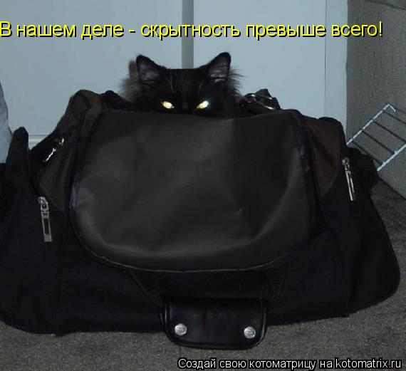 В нашем деле - скрытность превыше всего!... Котоматрица: В нашем деле - скрытность превыше всего!