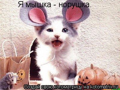 Я мышка - норушка.... Котоматрица: Я мышка - норушка.