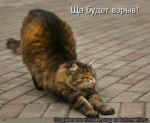Ща будет взрыв!... Котоматрица: Ща будет взрыв!