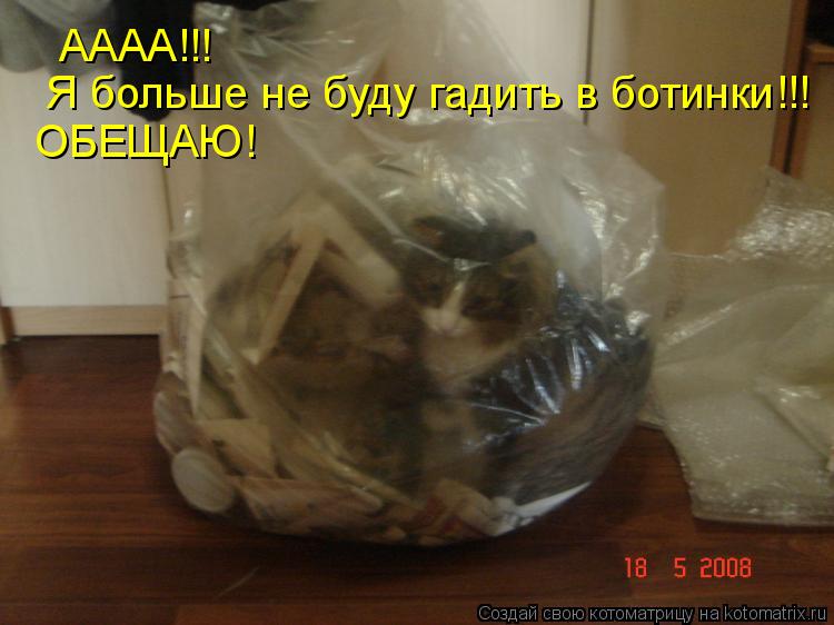 АААА!!! Я больше не буду гадить в ботинки!!! ОБЕЩАЮ!... Котоматрица: АААА!!! Я больше не буду гадить в ботинки!!! ОБЕЩАЮ!
