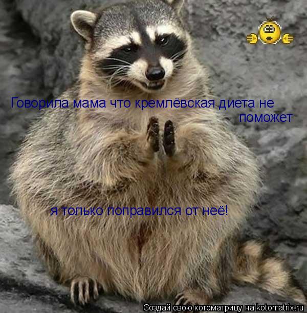 Говорила мама что кремлёвская диета не поможет я только поправился от неё!... Котоматрица: Говорила мама что кремлёвская диета не поможет я только поправился от неё!