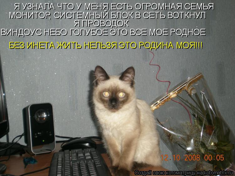 Я УЗНАЛА ЧТО У МЕНЯ,ЕСТЬ ОГРОМНАЯ СЕМЬЯ МОНИТОР, СИСТЕМНЫЙ БЛОК В СЕТЬ ВОТКНУЛ Я ПРОВОДОК ВИНДОУС НЕ... Котоматрица: Я УЗНАЛА ЧТО У МЕНЯ,ЕСТЬ ОГРОМНАЯ СЕМЬЯ МОНИТОР, СИСТЕМНЫЙ БЛОК В СЕТЬ ВОТКНУЛ Я ПРОВОДОК ВИНДОУС НЕБО ГОЛУБОЕ ЭТО ВСЕ МОЕ РОДНОЕ БЕЗ ИНЕТА
