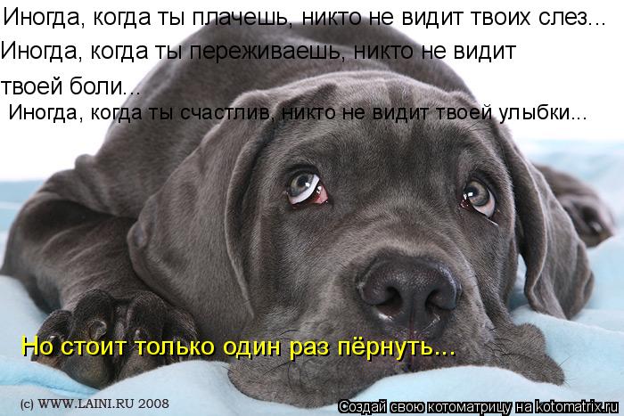 Иногда, когда ты плачешь, никто не видит твоих слез... Иногда, когда ты переживаешь, никто не видит ... Котоматрица: Иногда, когда ты плачешь, никто не видит твоих слез... Иногда, когда ты переживаешь, никто не видит твоей боли... Иногда, когда ты счастлив, ник