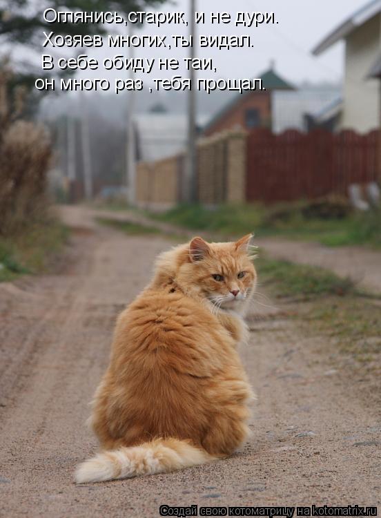 Оглянись,старик, и не дури. Хозяев многих,ты видал. В себе обиду не таи, он много раз ,тебя прощал.... Котоматрица: Оглянись,старик, и не дури. Хозяев многих,ты видал. В себе обиду не таи, он много раз ,тебя прощал.