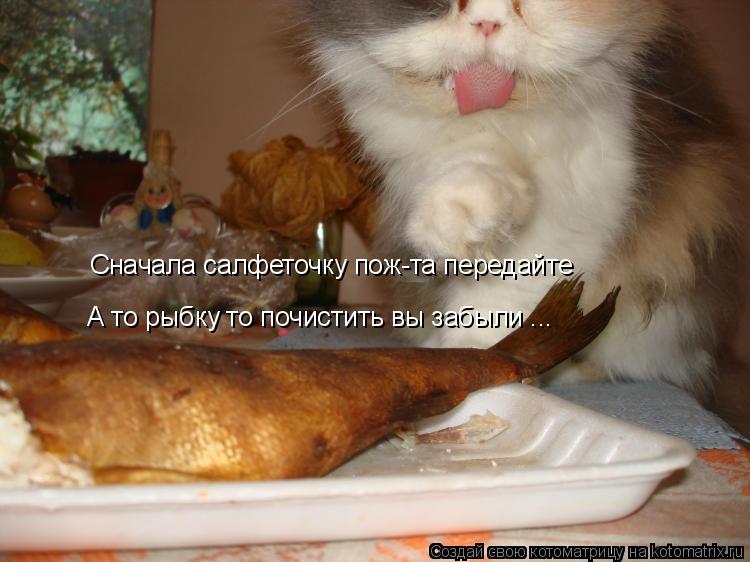 Сначала салфеточку пож-та передайте А то рыбку то почистить вы забыли ...... Котоматрица: Сначала салфеточку пож-та передайте А то рыбку то почистить вы забыли ...