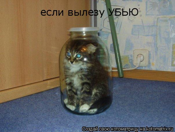 если вылезу УБЬЮ... Котоматрица: если вылезу УБЬЮ