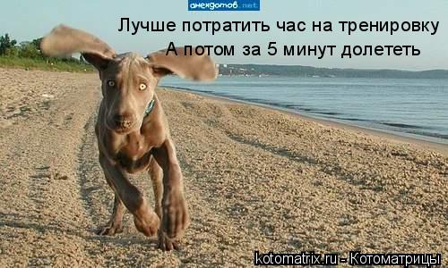 Котоматрица: Лучше потратить час на тренировку А потом за 5 минут долететь