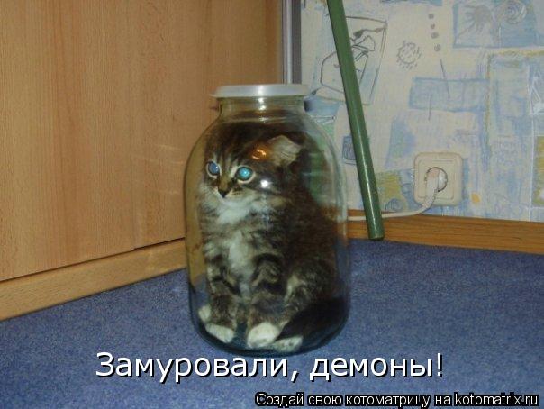 Котоматрица: Замуровали, демоны!