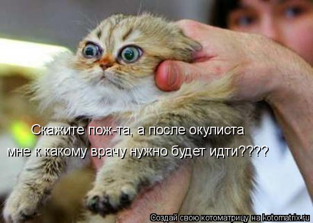 Скажите пож-та, а после окулиста мне к какому врачу нужно будет идти????... Котоматрица: Скажите пож-та, а после окулиста мне к какому врачу нужно будет идти????