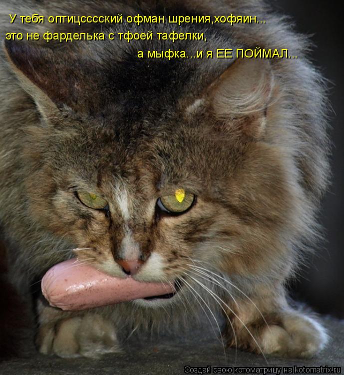 У тебя оптицсссский офман шрения,хофяин... это не фарделька с тфоей тафелки, а мыфка...и я ЕЕ ПОЙМАЛ... Котоматрица: У тебя оптицсссский офман шрения,хофяин... это не фарделька с тфоей тафелки, а мыфка...и я ЕЕ ПОЙМАЛ...